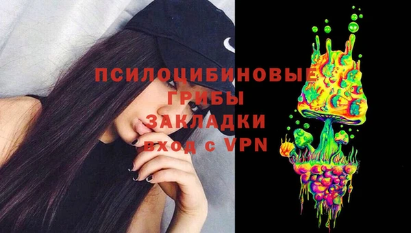 PSILOCYBIN Богданович