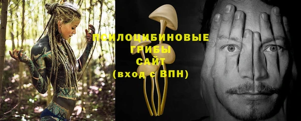 PSILOCYBIN Богданович