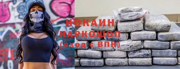 PSILOCYBIN Богданович