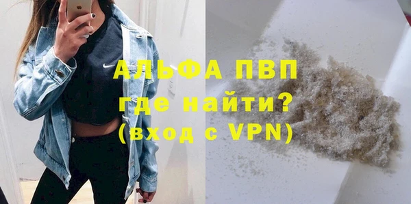 PSILOCYBIN Богданович