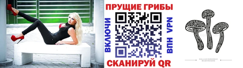 Псилоцибиновые грибы мухоморы  цена наркотик  Ковылкино 