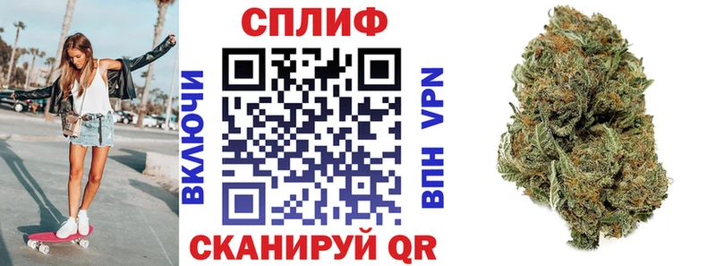 Конопля сатива  Ковылкино 
